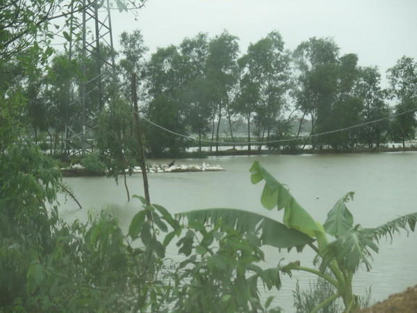 Kịp thời cứu một người bị nước lũ cuốn trôi tại tỉnh Nghệ An ảnh 1