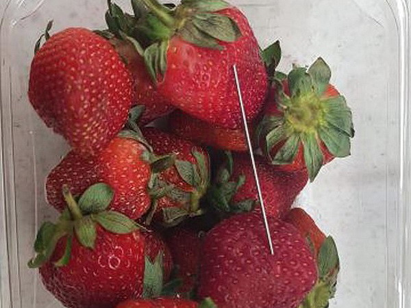 ​Bắt nghi phạm gây ra vụ khủng hoảng 'kim khâu trong trái dâu tươi' ảnh 1