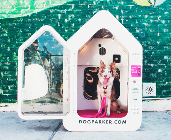 Hốt bạc từ dịch vụ trông giữ chó cưng tự động ngay tại vỉa hè ảnh 1