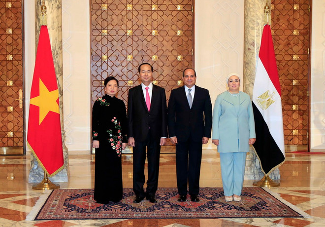 Chủ tịch nước Trần Đại Quang hội đàm với Tổng thống Ai Cập Al Sisi ảnh 1