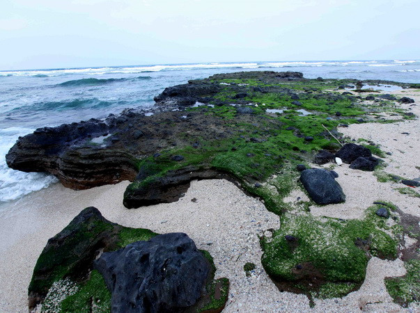 Quảng Nam: Giữ bãi biển và rừng phòng hộ trong phát triển đô thị ảnh 1