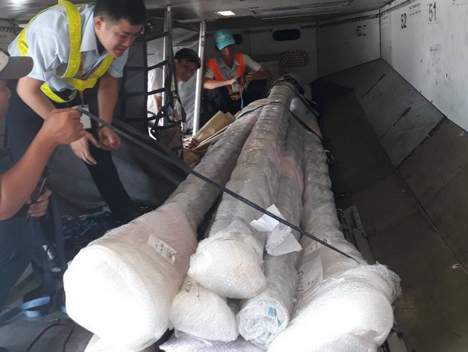 Hành trình truân chuyên của các cô gái vàng Rowing Việt Nam ở ASIAD ảnh 2