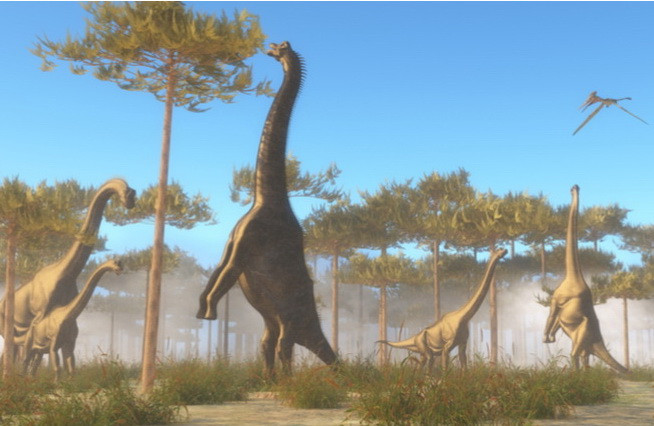 Phát hiện hóa thạch xương loài khủng long mới tại Argentina ảnh 1