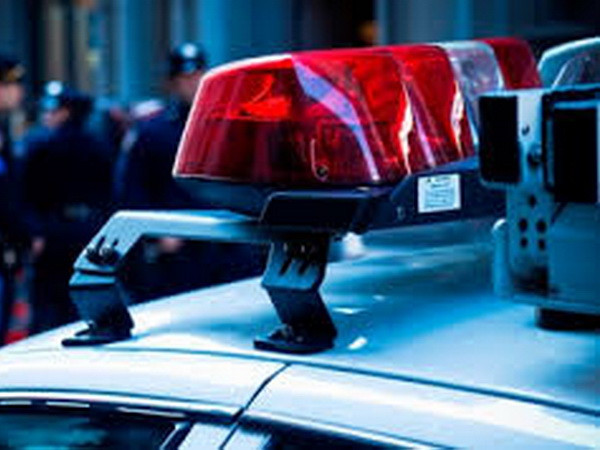 Hàn Quốc trấn áp tội phạm nước ngoài, bắt hàng chục đối tượng ảnh 1