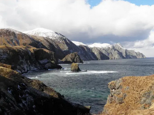 Nhật-Nga cân nhắc thiết lập khung tham vấn về hiệp định hòa bình ảnh 1