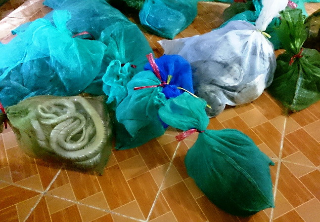 Bình Phước bắt giữ vụ vận chuyển động vật rừng với số lượng lớn ảnh 1