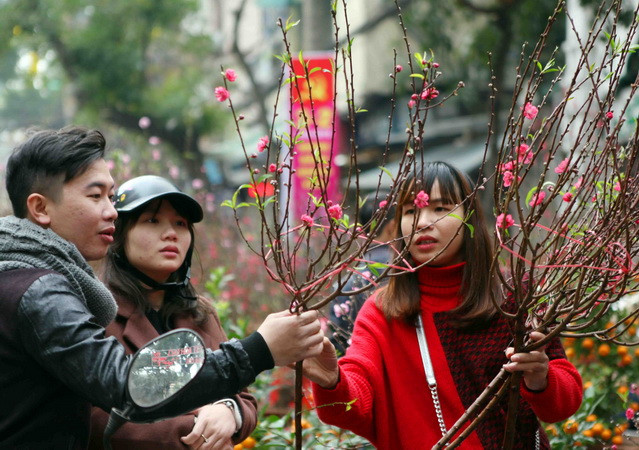 Bắc Bộ và Trung Bộ vẫn đón Năm Mậu Tuất trong tiết trời lạnh ảnh 1