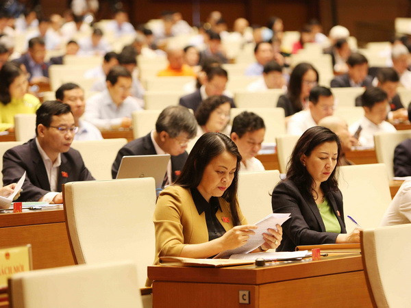 Sửa đổi, bổ sung các luật cần lấy Luật Quy hoạch làm gốc ảnh 1