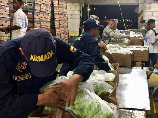 Cơ quan chức năng Colombia và Brazil thu giữ gần 6 tấn cocaine ảnh 1