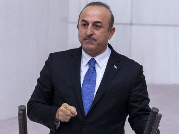 Thổ Nhĩ Kỳ ủng hộ kế hoạch của LHQ về hiến pháp mới của Syria ảnh 1