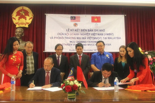 Xung lực mới cho hợp tác giữa doanh nghiệp Việt Nam và Malaysia ảnh 1