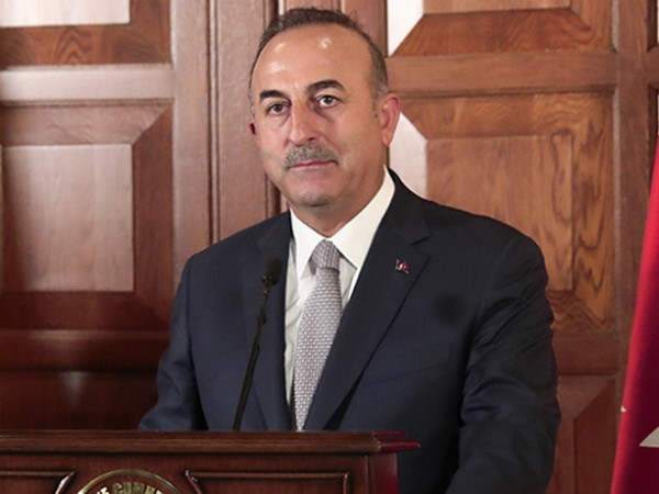 Thổ Nhĩ Kỳ muốn tìm kiếm “khởi đầu mới” trong quan hệ với Đức ảnh 1