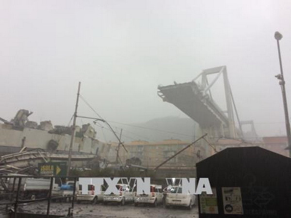 Vụ sập cầu cạn tại Italy: Bắt đầu thu hồi giấy phép của Autostrade ảnh 1