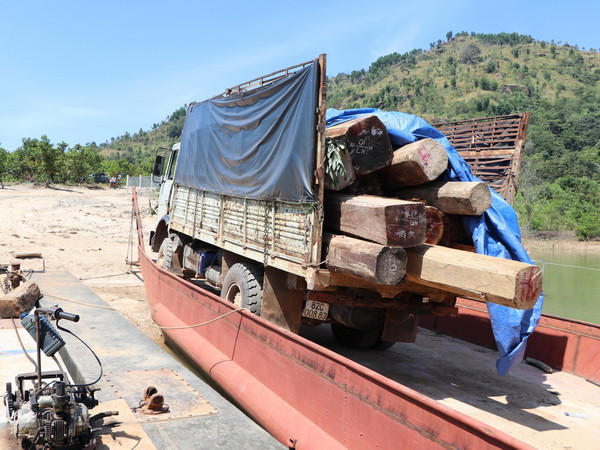 Kon Tum: Điều tra làm rõ vụ vận chuyển gỗ lậu trên sông Sê San ảnh 1