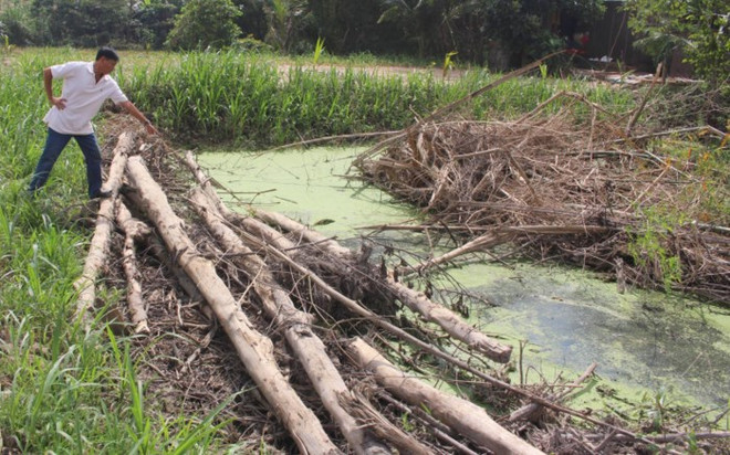 An Giang: Nghi phạm giết hại nữ MC đám cưới đã đầu thú ảnh 1