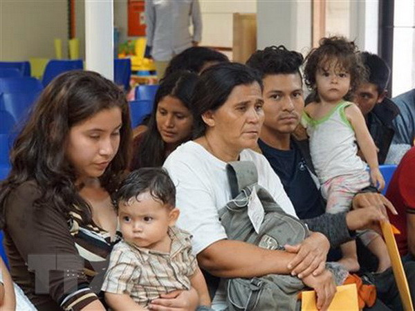 DHS xác nhận Chính phủ Mỹ giam giữ khoảng 14.000 trẻ nhập cư ảnh 1