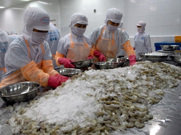 Chế biến tôm đông lạnh xuất khẩu. (Ảnh minh họa: Danh Lam/TTXVN) Hội thảo về Hiệp định thương mại tự do Việt Nam-EU tại Ba Lan ảnh 1