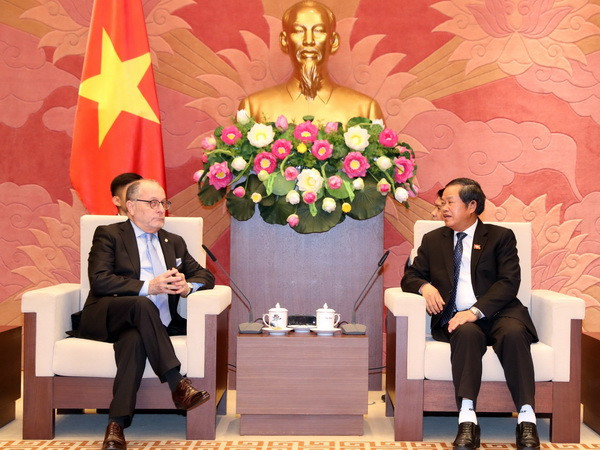 Phó Chủ tịch Quốc hội tiếp Bộ trưởng Ngoại giao và Tôn giáo Argentina ảnh 1