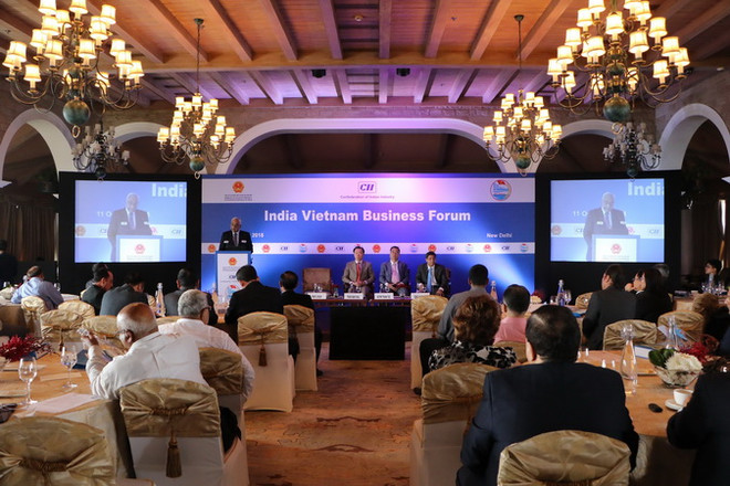 Tỉnh Hậu Giang xúc tiến thương mại và tìm kiếm đầu tư tại Ấn Độ ảnh 3