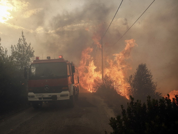 Liên minh châu Âu triển khai các hỗ trợ giúp chống cháy rừng ảnh 1