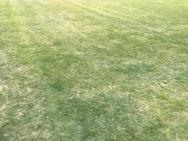 VCK U23 châu Á: ​Khám phá sân đấu chính thức của U23 Việt Nam ảnh 2