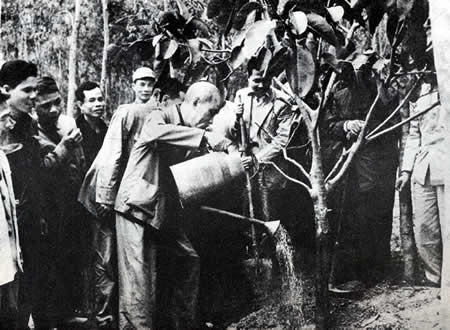 Chủ tịch Hồ Chí Minh tham gia 'Tết trồng cây' với nhân dân xã Vật Lại, Ba Vì, Hà Tây (nay thuộc ngoại thành Hà Nội) ngày 16/2/1969. (Ảnh: Tư liệu TTXVN) Ấm áp câu chuyện Tết xưa của những người làm báo thông tấn ảnh 1