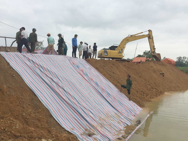 Thanh Hóa: Gia cố đê điều, chủ động ứng phó với bão số 11 ảnh 1