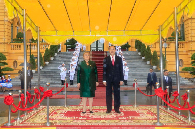 Chủ tịch nước và Tổng thống Chile chủ trì họp báo chung ảnh 2