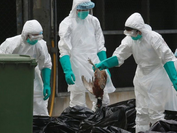Trung Quốc phát hiện thêm 2 ca nhiễm H7N9, 1 người nguy kịch ảnh 1