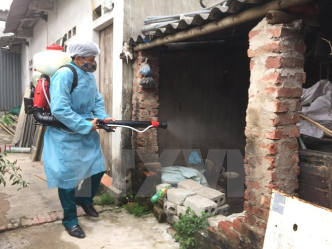 Dịch sốt xuất huyết đã giảm trên địa bàn thành phố Hà Nội ảnh 1