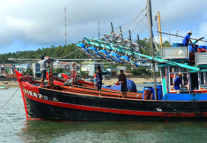 Khai thác và chế biến thủy sản, phát huy tiềm năng biển đảo Việt Nam ảnh 1