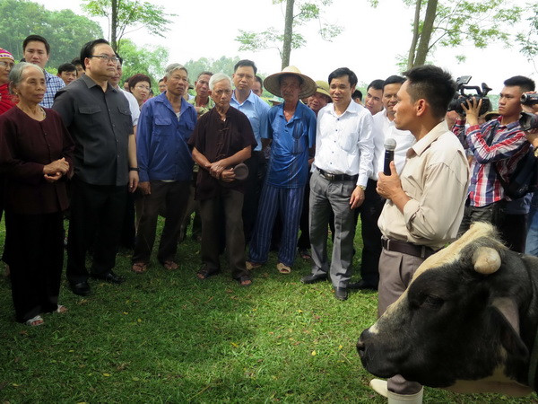 Hà Nội: Tạo điều kiện cho phát triển chăn nuôi theo hướng hàng hóa ảnh 2