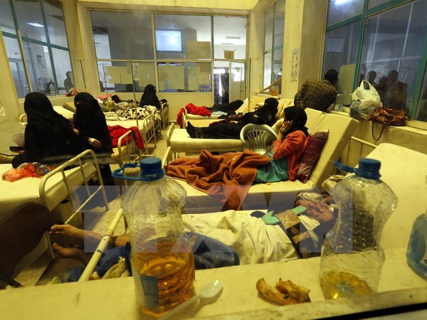 Yemen: Dịch tả bùng phát đã cướp đi sinh mạng của 1.500 người ảnh 1