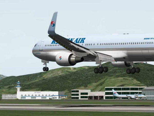 Hàn Quốc: Xảy ra hỏa hoạn ở sân bay do bắn đạn pháo đuổi chim ảnh 1