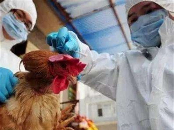 Trung Quốc phát hiện thêm các trường hợp lây nhiễm mới H7N9 ảnh 1