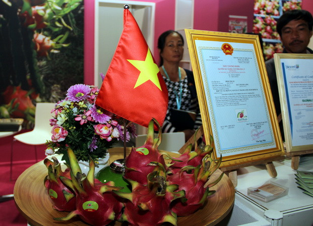 Thanh long Việt Nam tham gia Hội chợ quốc tế trái cây ở Berlin ảnh 1