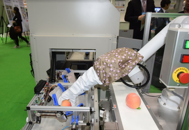 Khai mạc triển lãm quốc tế Robot lần thứ 22 tại Nhật Bản ảnh 6