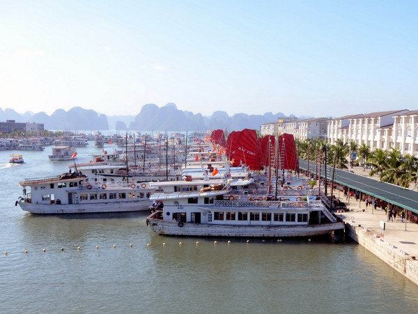 Quảng Ninh ngừng cấp phép hơn 480 tàu du lịch do bão số 2 ảnh 1