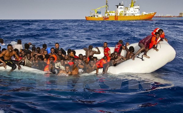 Gần 7.500 người di cư thiệt mạng trên toàn thế giới trong 2016 ảnh 1