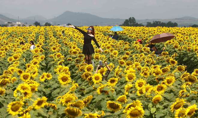 Cả nước bừng nắng trong ngày đầu Năm mới Đinh Dậu 2017 ảnh 1