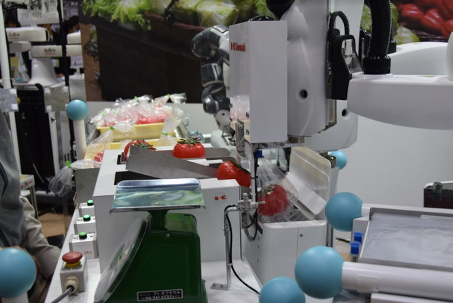 Khai mạc triển lãm quốc tế Robot lần thứ 22 tại Nhật Bản ảnh 7