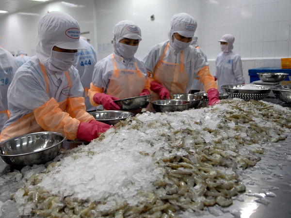 Ngành tôm xuất khẩu có nguy cơ “bỏ trống” thị trường 800 triệu USD ảnh 1