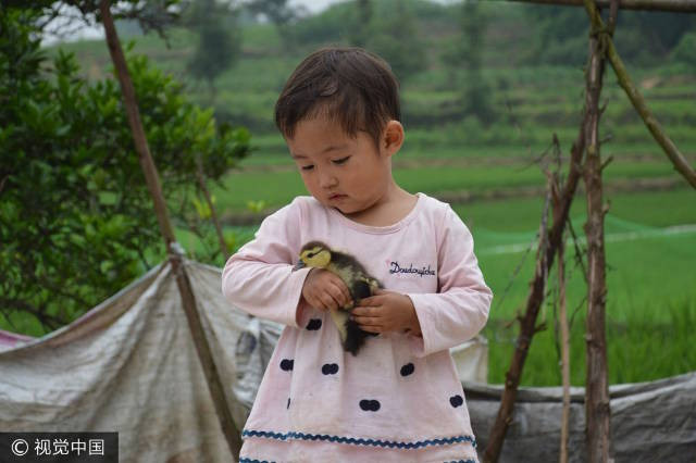Nhiều người đang quyên góp tiền để cứu bé Xinlei. Câu chuyện cảm động sau bức ảnh cha và con nằm trong huyệt mộ ảnh 3