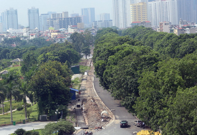 Bắt đầu di chuyển, cắt tỉa 1.289 cây xanh trên phố Phạm Văn Đồng ảnh 1