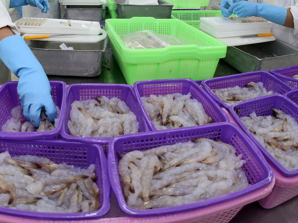 Australia cấm nhập tôm xanh, tôm nguyên liệu từ châu Á và Việt Nam ảnh 1