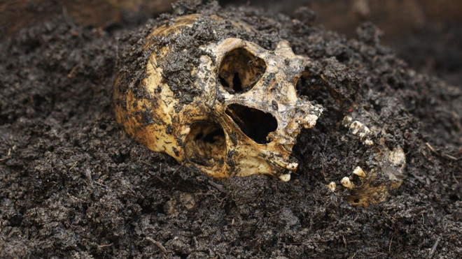 Phát hiện bằng chứng cho thấy pharaoh Ai Cập là một người khổng lồ ảnh 1