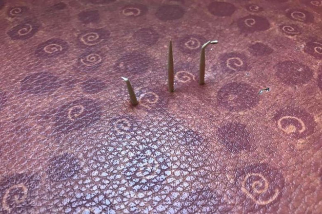 Cụ ông có nguy cơ ngồi tù 2 năm vì cắm tăm vào đệm ghế xe buýt ảnh 1