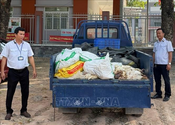 Ảnh minh họa. (Nguồn: TTXVN)