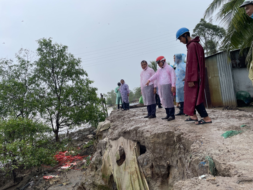 Đoàn công tác khảo sát khu vực sạt lở ven Sông Cổ Chiên. (Ảnh : Phúc Sơn/TTXVN)