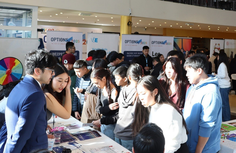 Các bàn tư vấn được bố trí theo ngành nghề để thuận tiện cho các bạn học sinh và phụ huynh lựa chọn tư vấn. (Ảnh: Việt Dũng/TTXVN)